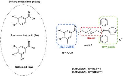 Hydroxybenzoic Acid Derivatives as Dual-Target Ligands: Mitochondriotropic Antioxidants and Cholinesterase Inhibitors